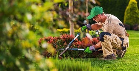 Image result for Landscape Contractor