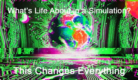 Live Simulation 的图像结果