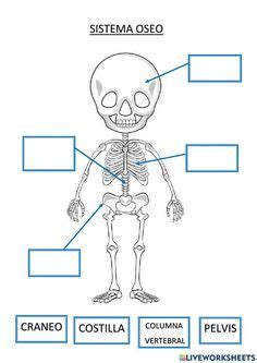 Image result for Statistical Mini Research Example