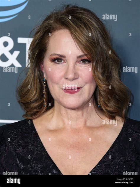 Emily Perkins Actress 2024