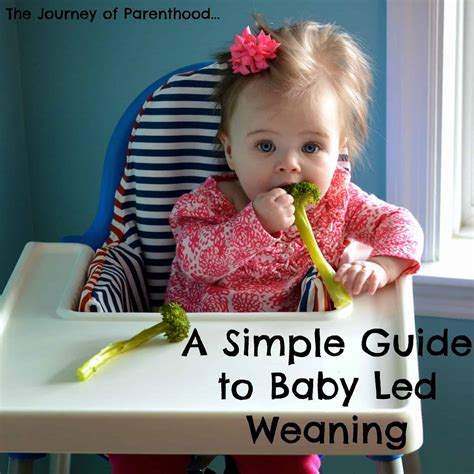 The Best Baby Led Weaning Book: A Simple Guide to Baby Led Weaning