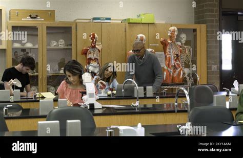 Life Science Tutor 的图像结果