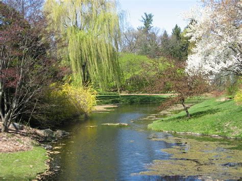 Dow Gardens: A Stunning Natural Oasis in Midland, MI
