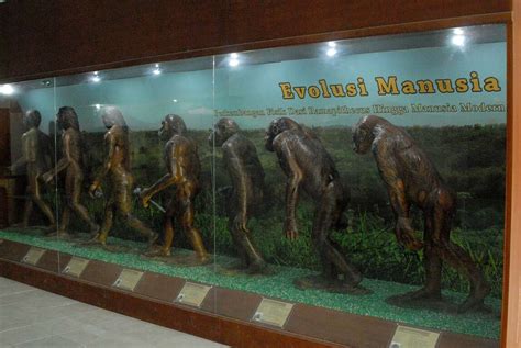 Uncovering the Best UNESCO World Heritage Sites in Indonesia