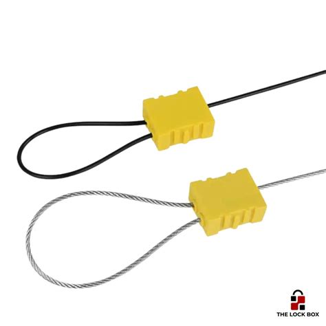 Image result for Security Cable