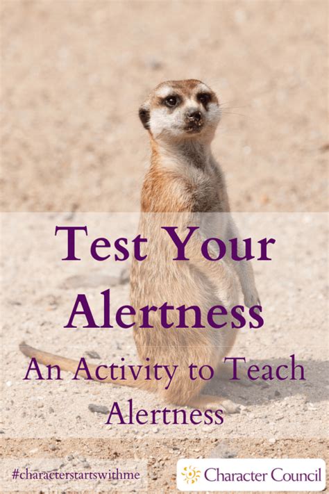 Image result for Alertness Program