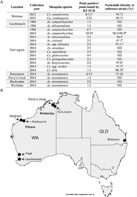 Image result for Australia Python Coding