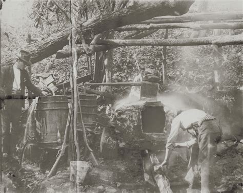 Moonshiners heavily armed and at work on still; "Breathitt County, KY late 1920s or early 1930s ...