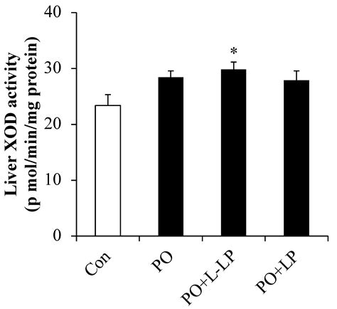 Lactiplantibacillus plantarum 06CC2 Enhanced the Expression of ...