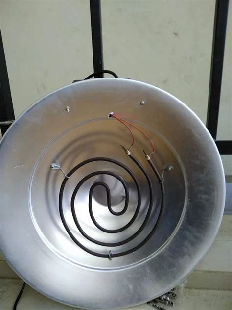 Image result for Digestive System of a Brooder