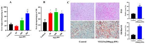 Vascular Endothelial Growth Factor A (VEGFA) Regulates Hepatic Lipid ...