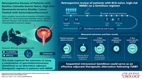 Sequential Intravesical Gemcitabine and Docetaxel for bacillus Calmette-Guérin-Naïve High-Risk ...