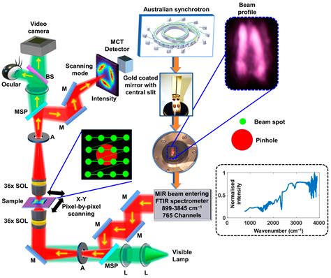 Computational Imaging at the Infrared Beamline of the Australian ...