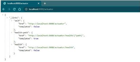 Image result for How To Use Springboot Actuator