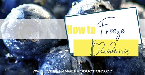 How to Freeze Blueberries