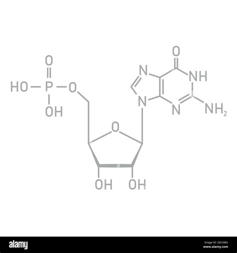 Chemical structure of DNA nucleotide. Three parts of a nucleotide ...