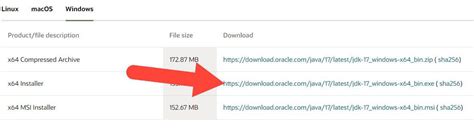Image result for 64-Bit Java Installer Windows 1.0