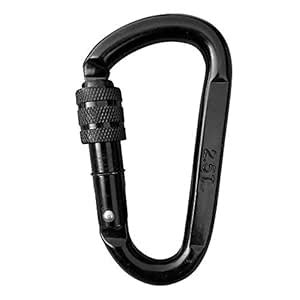 M&M Sales Enterprises Cast Steel Locking Carabiner Swing Accessory ...