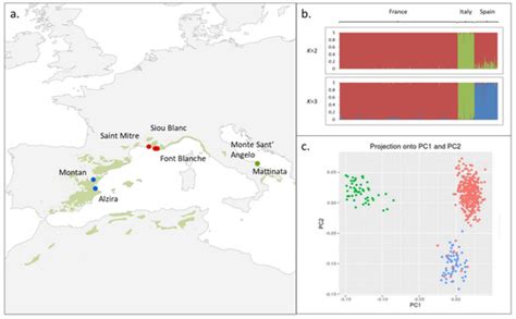 Looking for Local Adaptation: Convergent Microevolution in Aleppo Pine ...