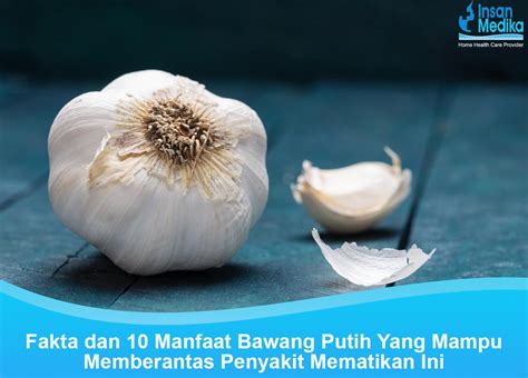 manfaat bawang putih panggang
