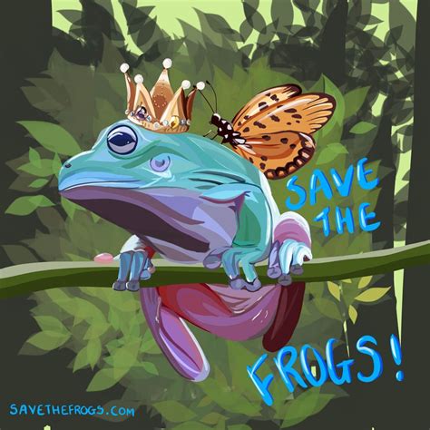 frog drawing competition