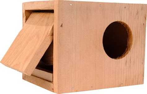 Skybeings Wooden Sparrow Love Bird House Wall Mount Bird Cage 15 x 10 x ...