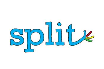 Image result for Split Programme