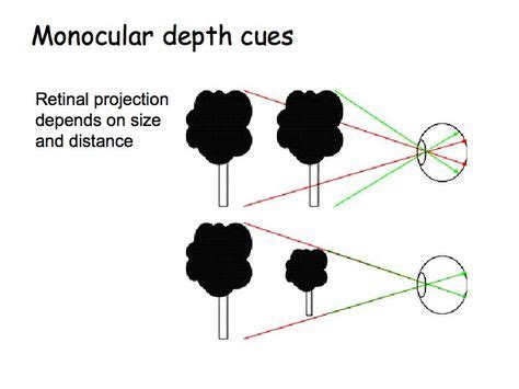 Depth Perception Examples 的图像结果
