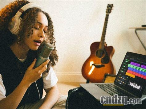 CakewalkSoftware 的图像结果