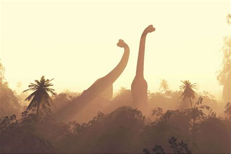 Gujarat dinosaur site | TimesTravel