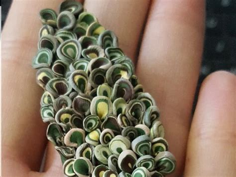 Image result for Fimo Polymer Clay Tutorial