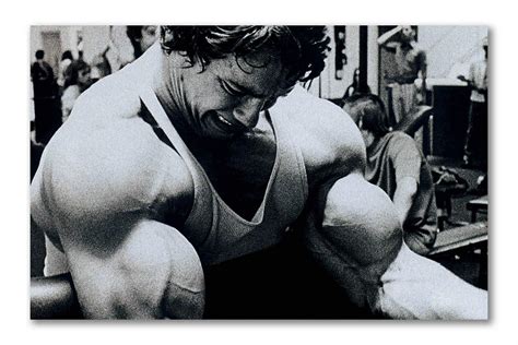 Buy Tamatina Gym Posters - Gym Posters Motivational - Gym Posters for ...