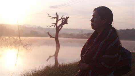 Image result for Identifying Features 2020