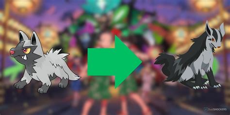 Image result for Poochyena Evolution Level