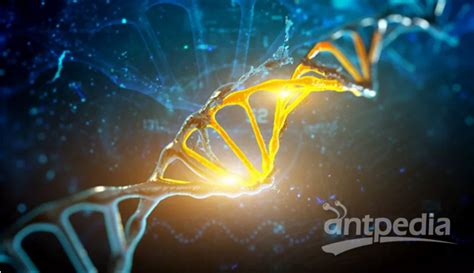 惊人！基因编辑会损伤上万RNA！《自然》：新一代无脱靶基因编辑工具在沪诞生