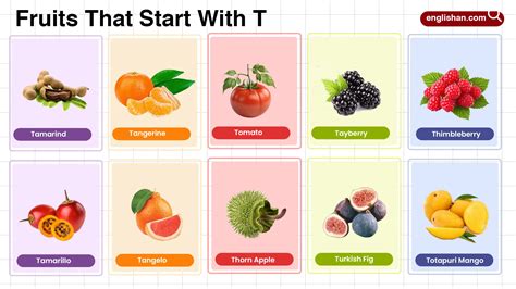 Complete 50 Fruits That Start With G in English Vocabulary
