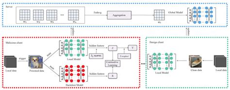 A Decoupled Contrastive Learning Framework for Backdoor Defense in ...