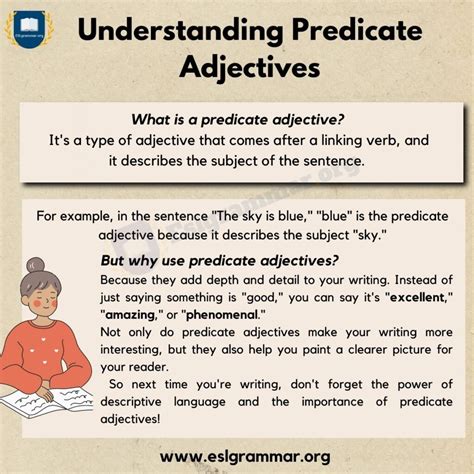 Specular Adjective Meaning at Jared Harper blog