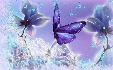 Pictures Of Blue And Purple Butterflies