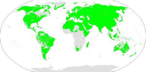Image result for Borean Language Tree