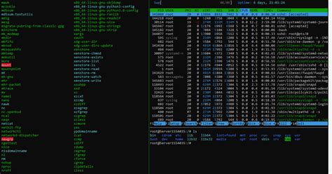 Работа в Tmux и Screen — Teletype
