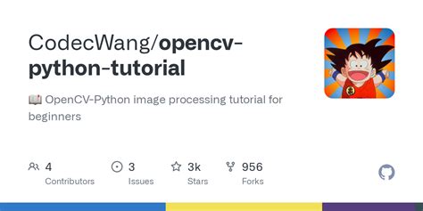 Image result for OpenCV Codec Python