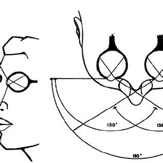 Image result for Human Vision Field of View