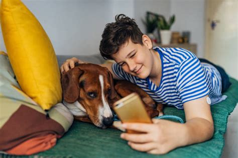 Cell Phone Camera Sensor 的图像结果