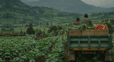 Agritex - Agriculture & Organic Farm HTML Template