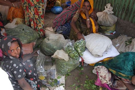 Khat in the Horn of Africa: A Scourge or Blessing? - The Wire