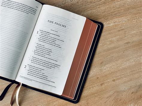 Teología bíblica - T. D. Alexander