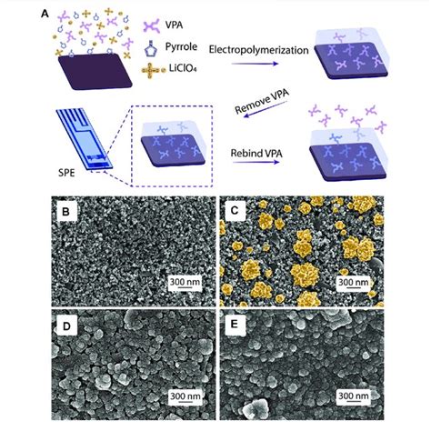MIP Style 的图像结果