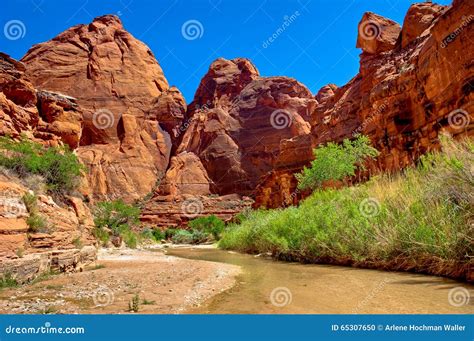 AZ-UT-Paria Canyon-Vermillion Cliffs Wilderness-Paria River Canyon ...