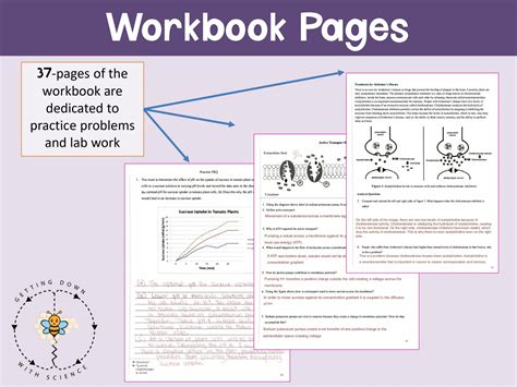 AP Biology Unit 2: Cells - COMPLETE UNIT - Getting Down with Science